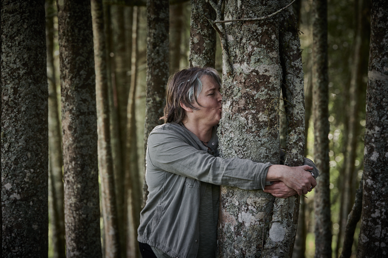 Urban Regeneration: Why Trees are Worth Fighting For