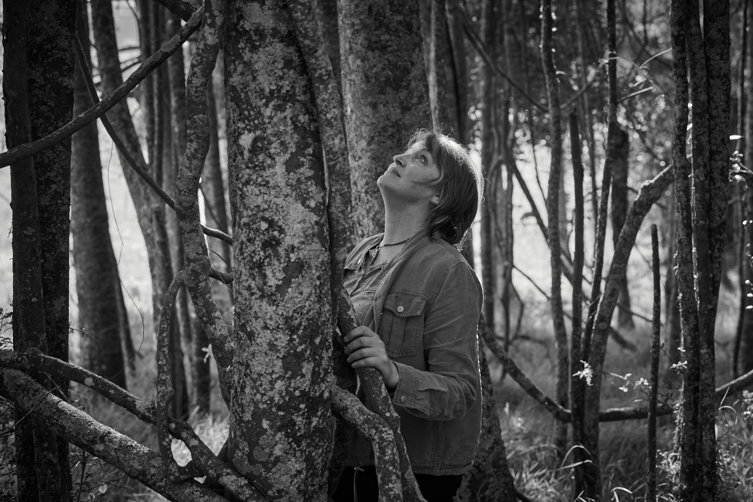 Future-proofing our Ngahere