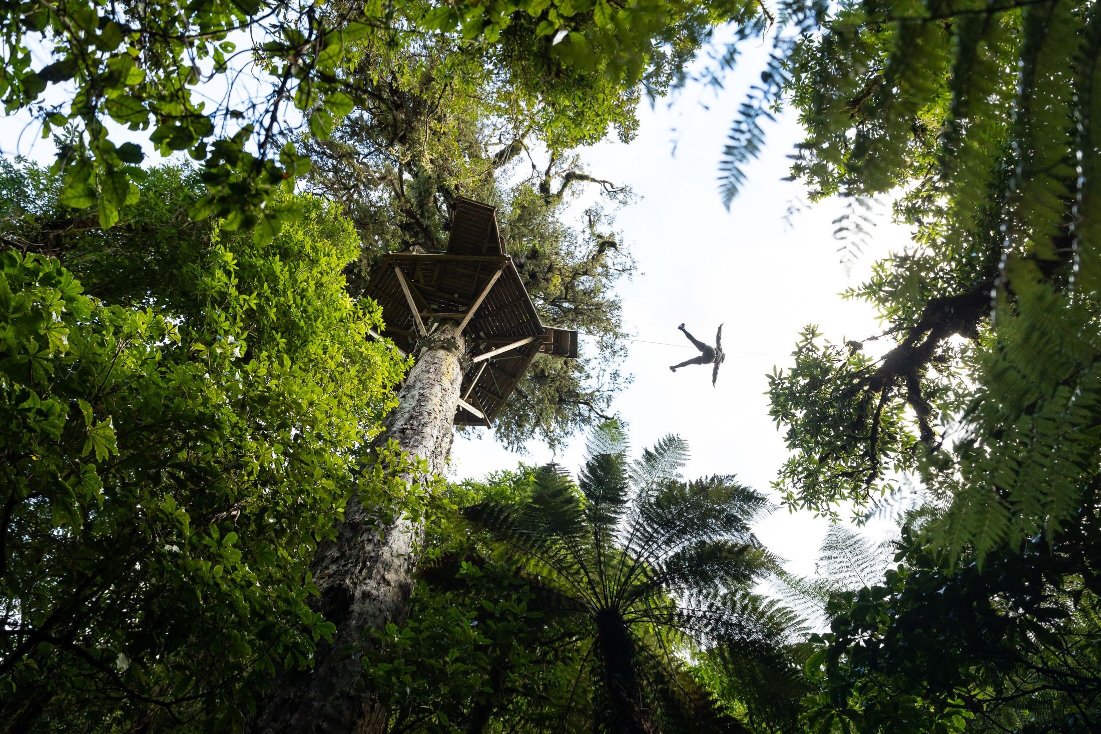 Financing Biodiversity