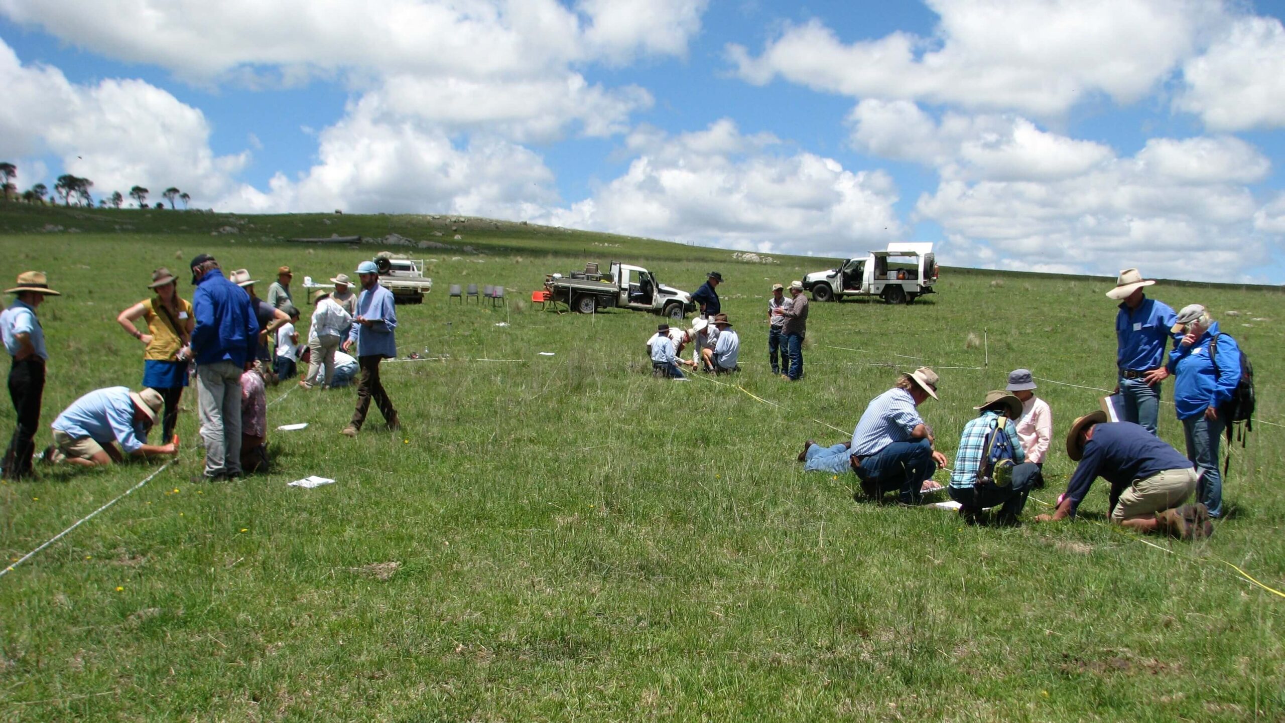 Regenerative Farming Enhances Finances the Environment and Farmer Mental Health