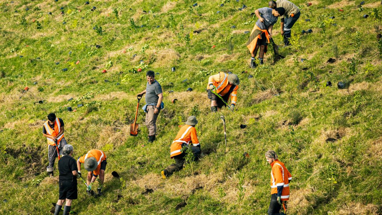 Will New Zealand be laughed at or celebrated at COP28?