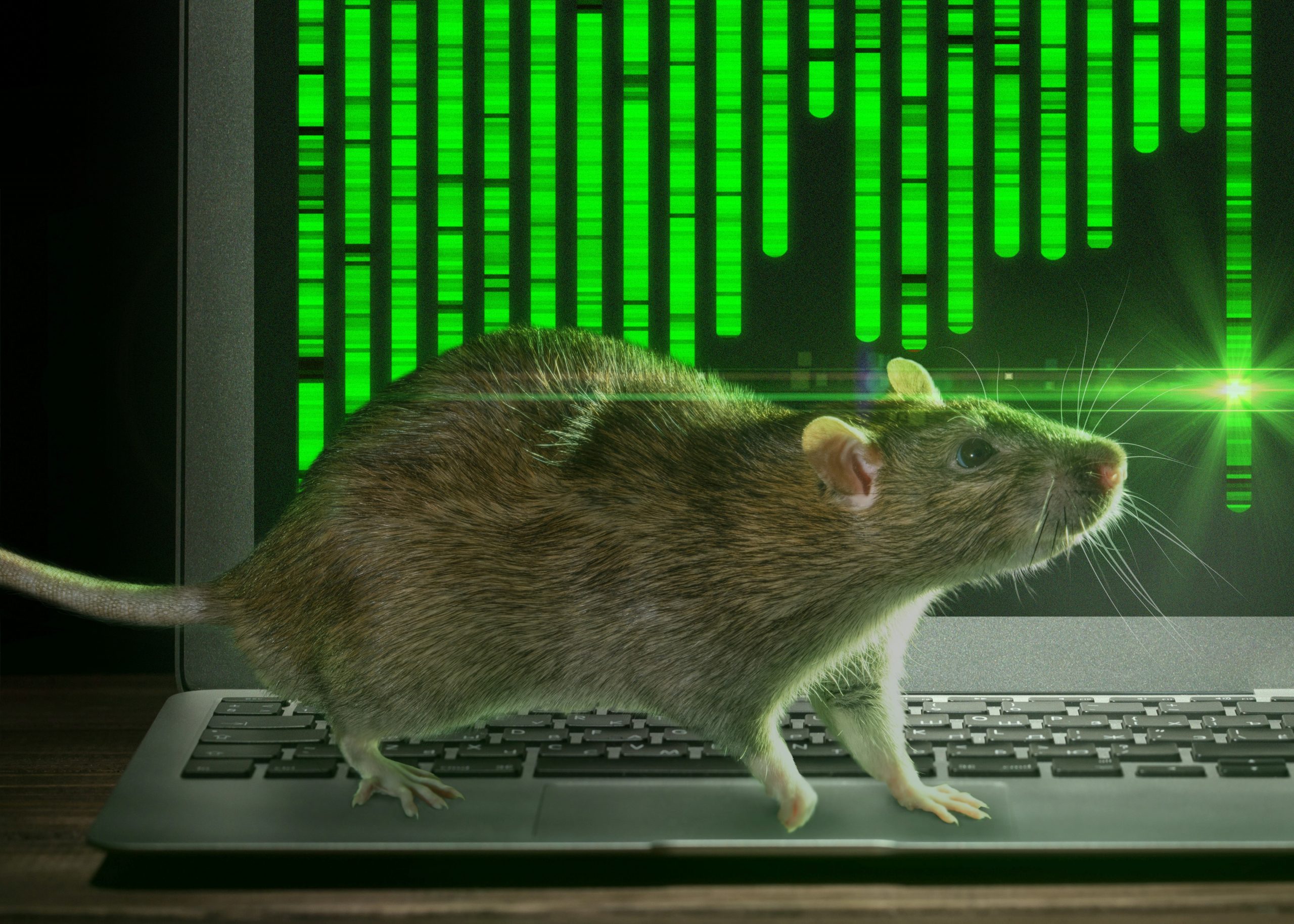 Aotearoa’s Moon Shot – the Role of Predator Free in Preserving and Regenerating Native Forests