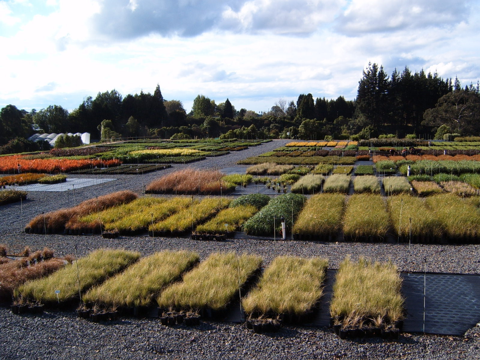 The State of the Native Plant Nursery Industry in 2021