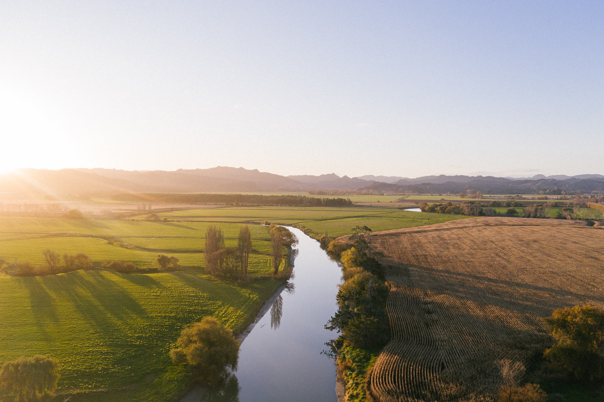 Tackling two crises with one Nature-based Solution