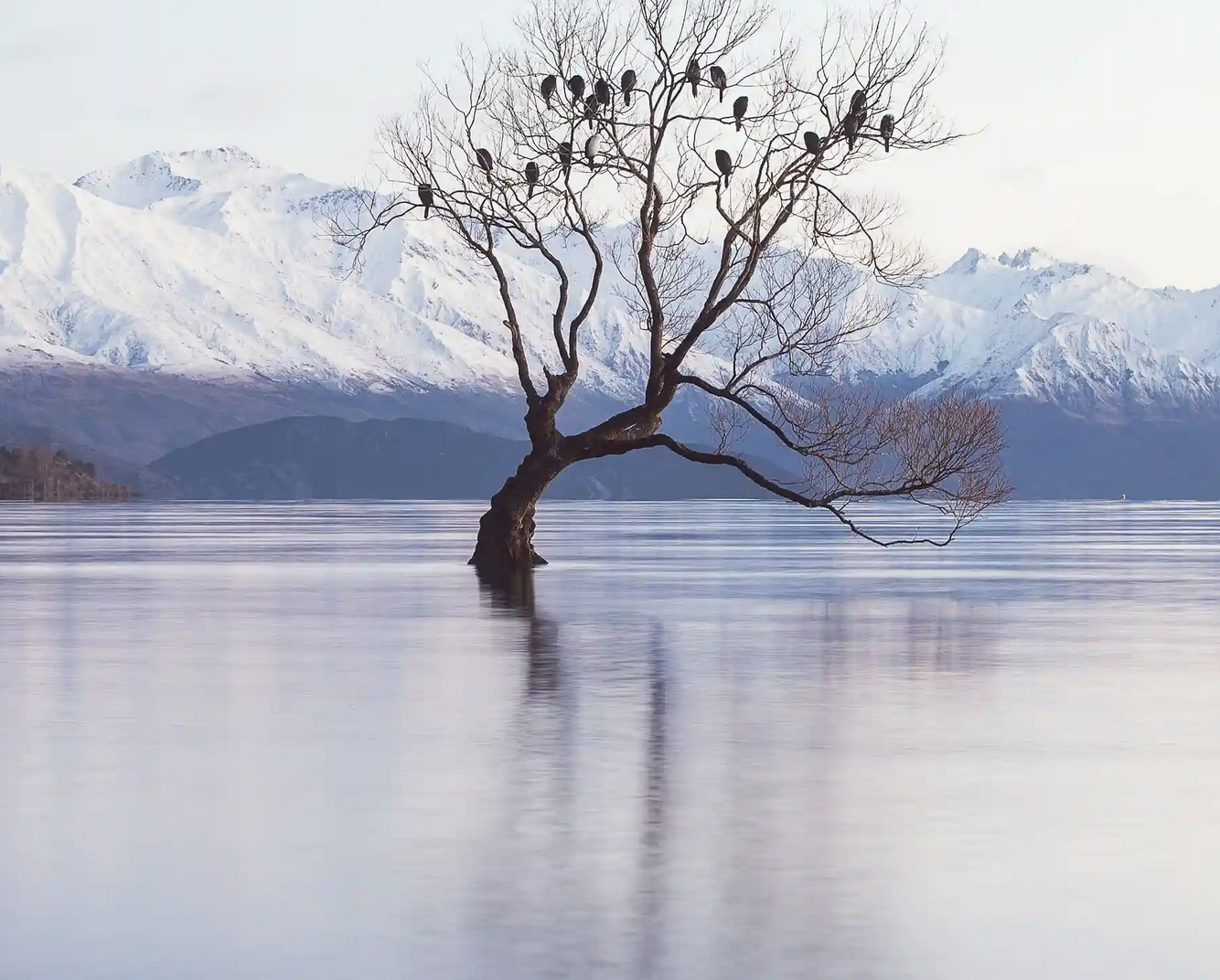 Interwoven Land Use: Values and Principles