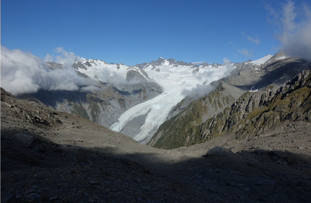 Seizing the moment for New Zealand’s native forests